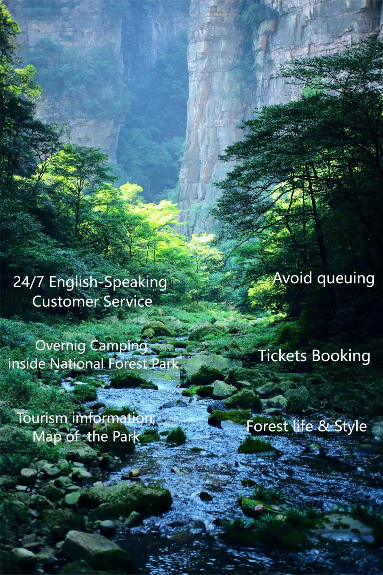 Zhangjiajie National Forest Park Camping Exterior photo
